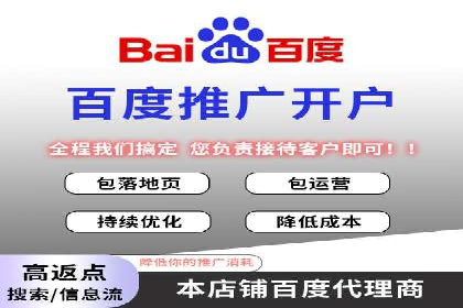 Sem优化公司成功案例：快速占领市场